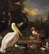 Melchior de Hondecoeter The Floating Feather Spain oil painting artist